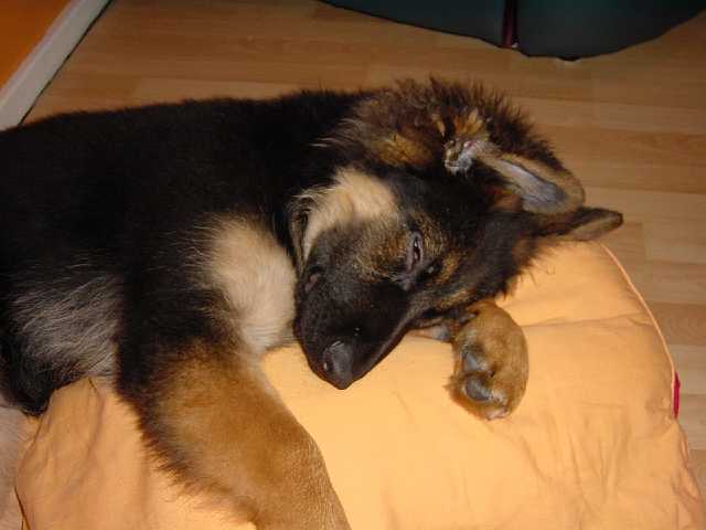 DSC00289.JPG