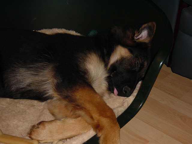 DSC00296.JPG