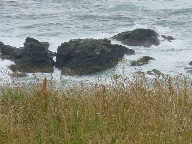 00007_rocks.JPG