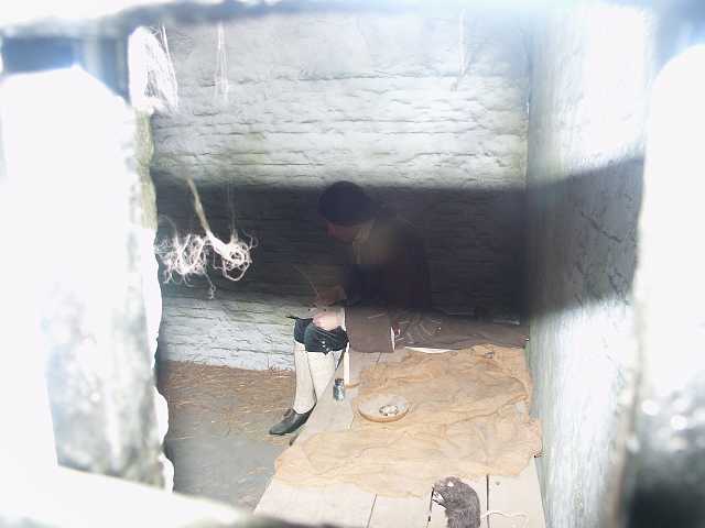 PICT3760.JPG