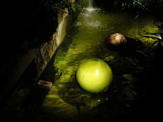 DSC02114.JPG