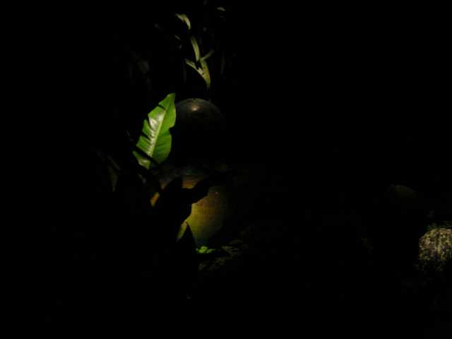 DSC02116.JPG