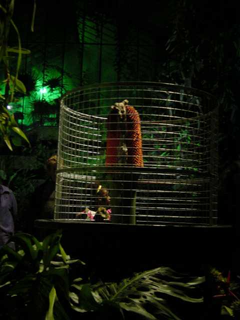 DSC02124.JPG