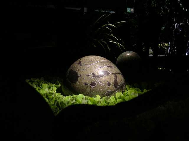 DSC02130.JPG