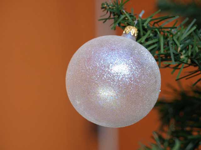 P1050246.JPG - Glitter Ball