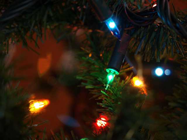 P1050263.JPG - I have 100's of pictures like this