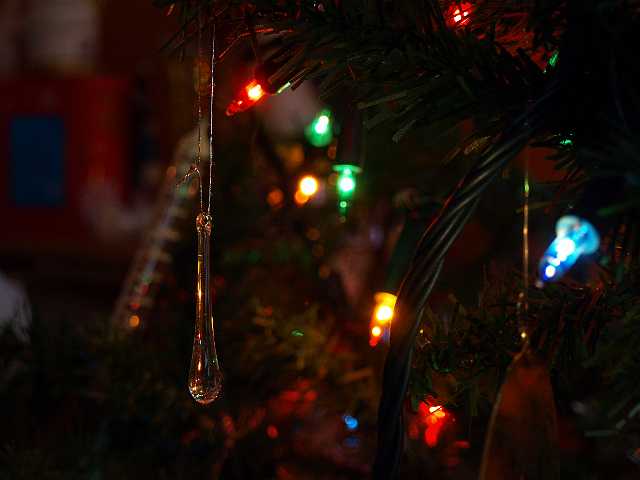 P1050289.JPG - Ligthtastic