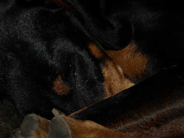 P1050314.JPG - zzzZZZZZZZ