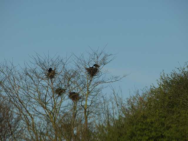 P4152947.JPG