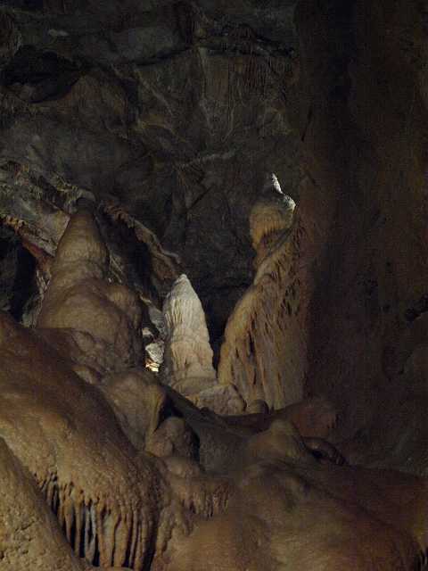 P4153147.JPG